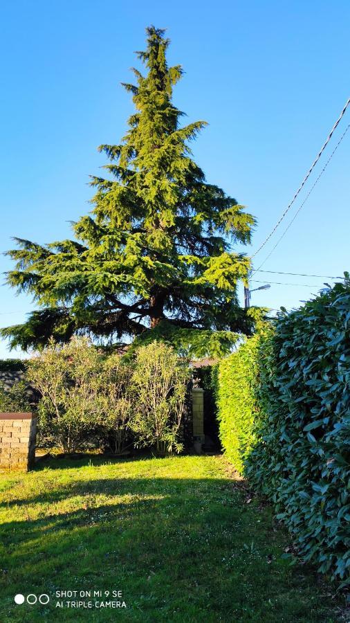 Il Cedro Acomodação com café da manhã San Pier d'Isonzo Exterior foto